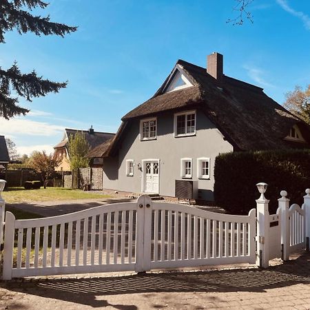 Ferienwohnung Lasse In Wieck Bagian luar foto