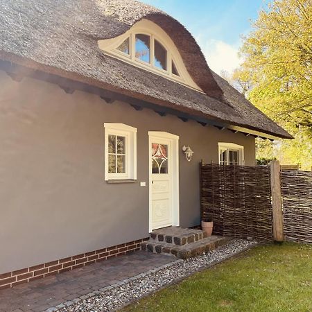 Ferienwohnung Lasse In Wieck Bagian luar foto